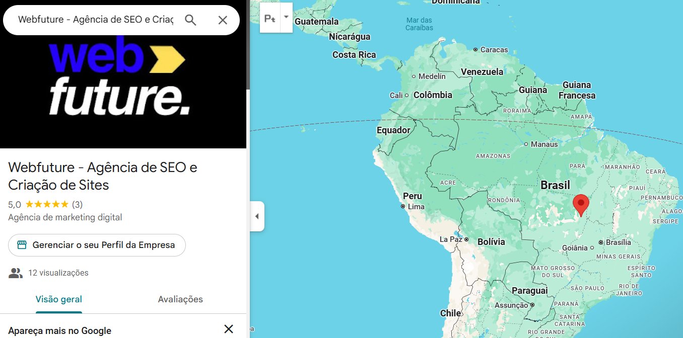 seo local da webfuture agência de SEO e criação de sites
